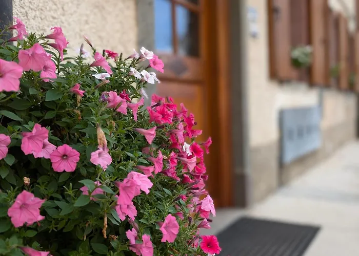 Miniapp. A 2 Km Da Pedavena