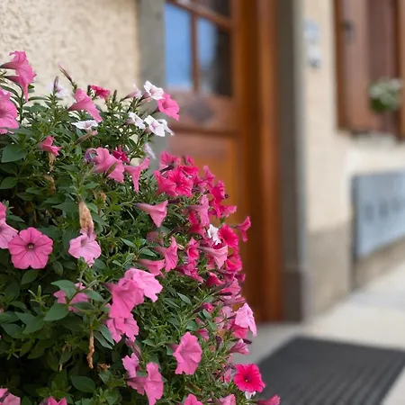 Miniapp. A 2 Km Da بيدافينا